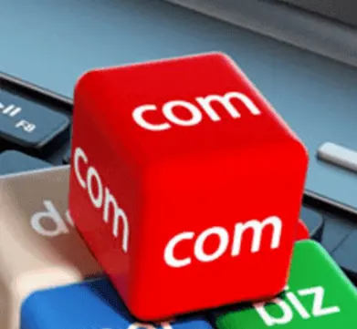 Domain Name Domain Name