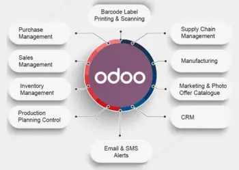 Odoo Development Services