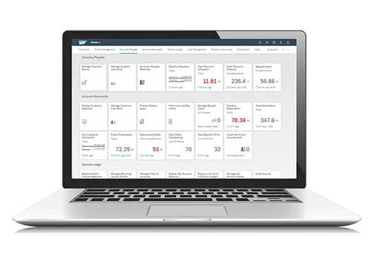 User Interface - Other ERP